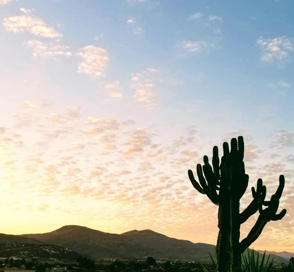 Villa Terra Monarca Valle de Guadalupe Esterno foto