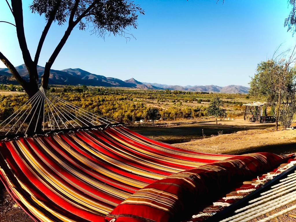 Villa Terra Monarca Valle de Guadalupe Esterno foto